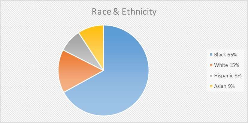 Stockbridge, Georgia (GA) ~ population data, races, housing & economy