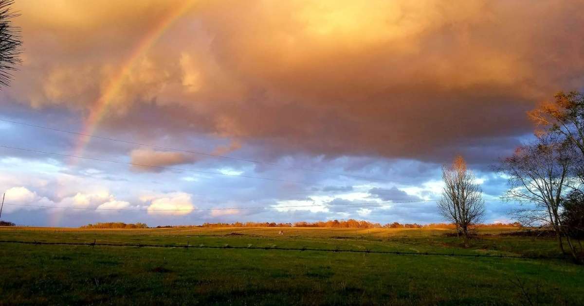 A rainbow over a field in Locust Grove