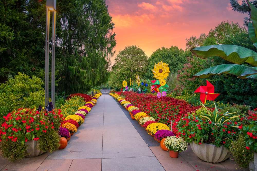 a gorgeous autumn landscape in the garden with colorful flowers, pumpkins and origami flowers and lush green trees and plants at Atlanta Botanical Garden