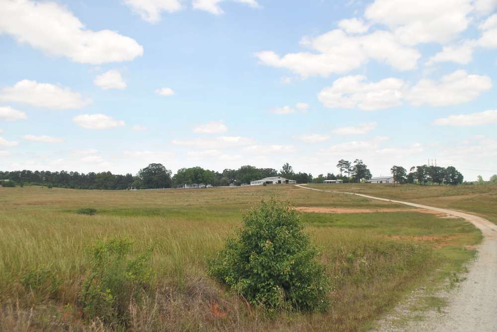A field in Georgia near Bonanza on a sunny day